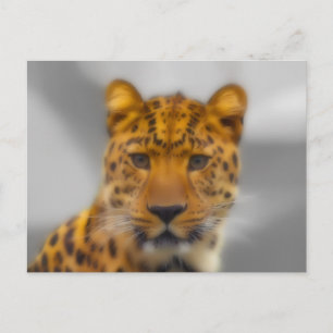 Carte Postale Face léopard