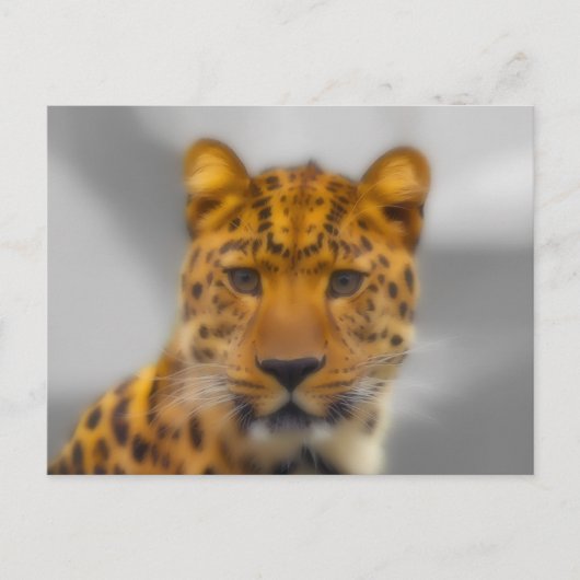 Carte Postale Face léopard (Devant)
