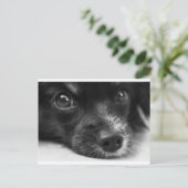 Carte Postale face papillon (Debout devant)