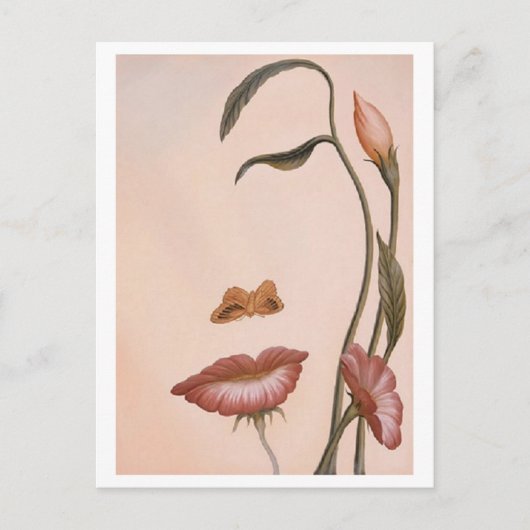 Carte postale face profil de conception de fleurs (Devant)
