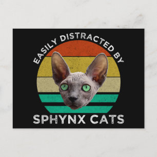 Carte Postale Facilement Distrait Par Les Chats Sphynx