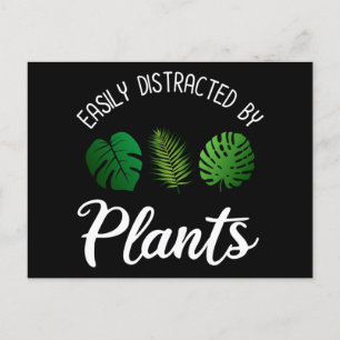 Carte Postale Facilement Distrait Par Les Plantes