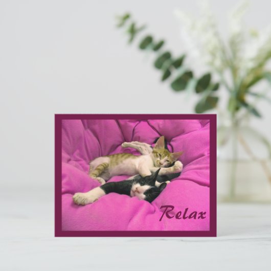 Carte Postale Facture de refroidissement & Relax Max (Debout devant)