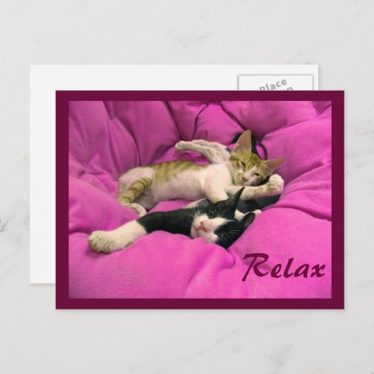 Carte Postale Facture de refroidissement & Relax Max (Devant / Derrière)