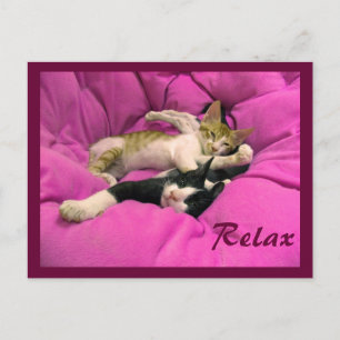 Carte Postale Facture de refroidissement & Relax Max