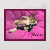 Carte Postale Facture de refroidissement & Relax Max (Devant)