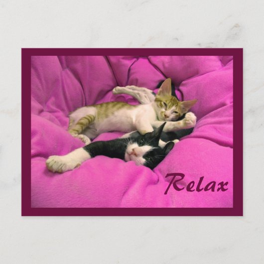 Carte Postale Facture de refroidissement & Relax Max (Devant)