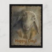 Carte Postale Facture - Modèle postal (Devant)