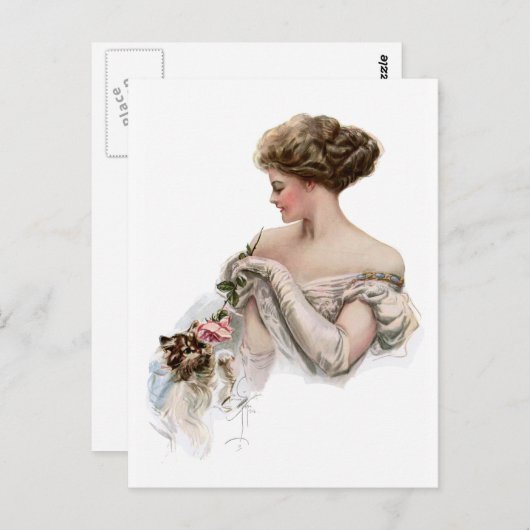 Carte Postale Fair Maiden Teintures a Kitten (Devant / Derrière)