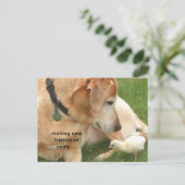 Carte Postale Faire de nouveaux amis au camp (Debout devant)