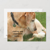 Carte Postale Faire de nouveaux amis au camp (Devant / Derrière)