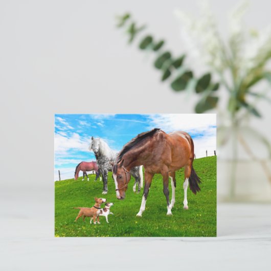 Carte Postale "Faire des amis" (Debout devant)