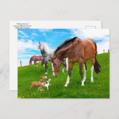 Carte Postale "Faire des amis" (Devant / Derrière)