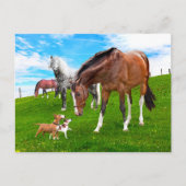 Carte Postale "Faire des amis" (Devant)