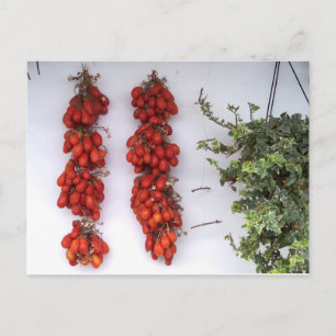 Carte Postale Faire des tomates séchées au soleil