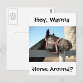 Carte Postale Faire du cheval autour (Devant / Derrière)