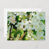 Carte Postale Faire du miel (Devant / Derrière)