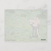 Carte Postale Faire face (Dos)