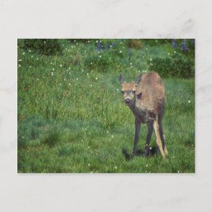 Carte Postale Faire face