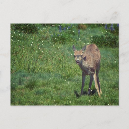 Carte Postale Faire face (Devant)