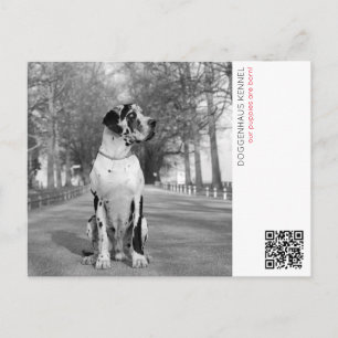 Carte postale faire-part