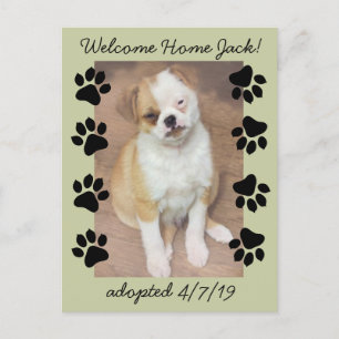 Carte Postale Faire-part Adoption d'animaux de compagnie Enregistrer la dat