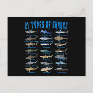Carte Postale Faire-part Amateurs de requins 21 types de requins animal océ