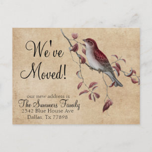 Carte Postale Faire-part Ancien Avis de Changement d'Adresse Oiseau