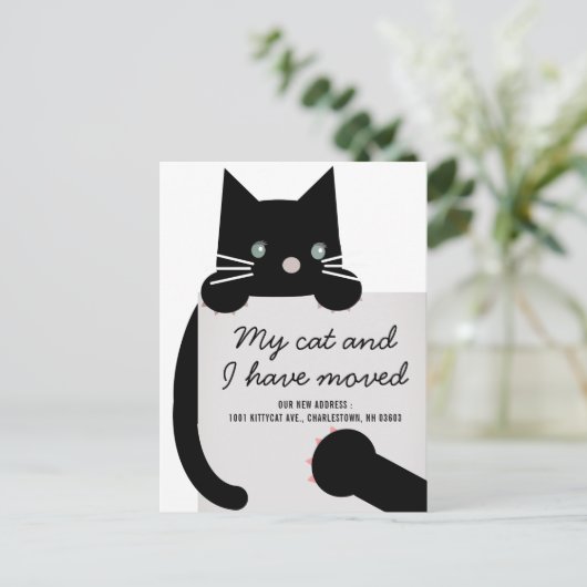 Carte Postale Faire-part Annonce de déménagement Chat Minou Noir Blanc (Debout devant)