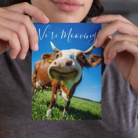 Annonce de déménagement drôle vache Mooving