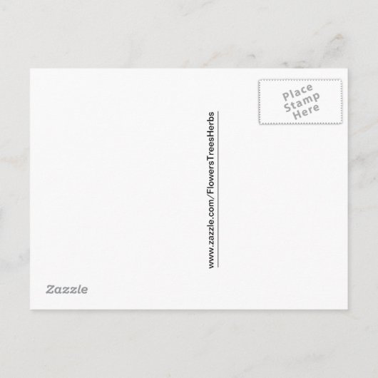 Carte Postale Faire-part Annonce de fiançailles Pink Bleeding Hearts (Dos)