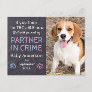 Carte Postale Faire-part Annonce de grossesse de chien complice de crime