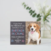 Carte Postale Faire-part Annonce de grossesse de chien complice de crime (Debout devant)