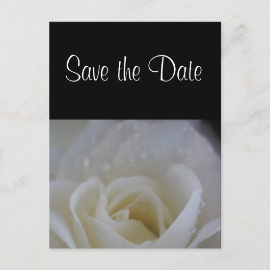 Carte Postale Faire-part Annonce de mariage à la rose ange save the date (Devant)