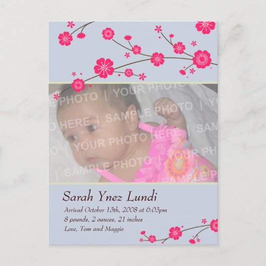 Carte Postale Faire-part Annonce de naissance sous les fleurs de cerisier (Devant)