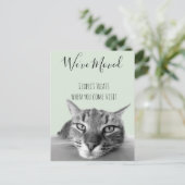 Carte Postale Faire-part Annonce de Nouvelle Adresse De Chat Drôle (Debout devant)