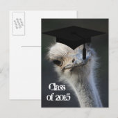 Carte Postale Faire-part Annonce de remise de diplôme (Devant / Derrière)