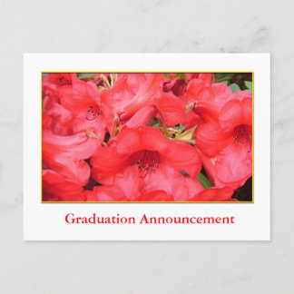 Carte Postale Faire-part Annonce de remise de diplôme avec fleurs d'azalée