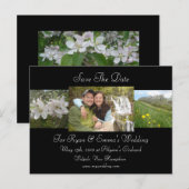 Carte Postale Faire-part Apple Blossom Enregistrer La Date (Devant / Derrière)