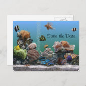 Carte Postale Faire-part aquarium Enregistrer la date (Devant / Derrière)