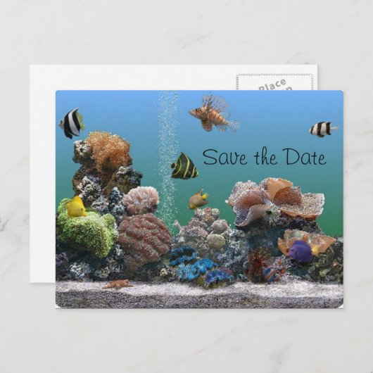 Carte Postale Faire-part aquarium Enregistrer la date (Devant / Derrière)
