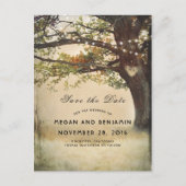 Carte Postale Faire-part Arbre d'automne rustique et lumières scintillantes (Devant)