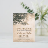 Carte Postale Faire-part arbre et oiseaux de l'amour rustique vintage save (Debout devant)