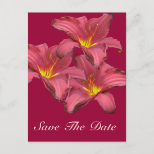 Carte Postale Faire-part Articles coordonnant la journée des lis rouges
