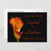 Carte Postale Faire-part Arum des marais flambé (Devant / Derrière)