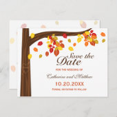 Carte Postale Faire-part Automne Tombant Feuille Mariage Enregistrer La Dat (Devant / Derrière)