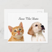 Carte Postale Faire-part Beau Chien Et Chat (Devant / Derrière)