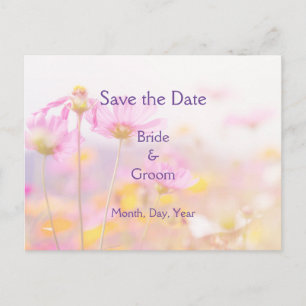 Carte Postale Faire-part Beau Cosmos Jardin Fleur rose Mauve violet