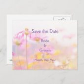 Carte Postale Faire-part Beau Cosmos Jardin Fleur rose Mauve violet (Devant / Derrière)