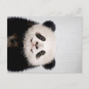Carte Postale Faire-part Bébé Panda Ours coloré  Panda Design mignon